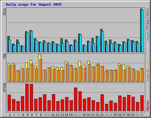 Daily usage for August 2025