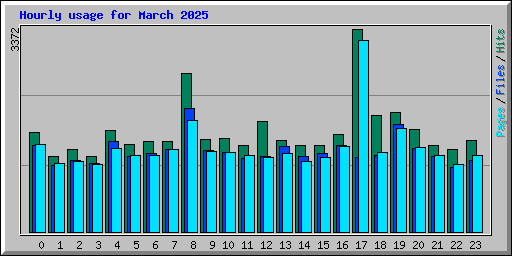 Hourly usage for March 2025