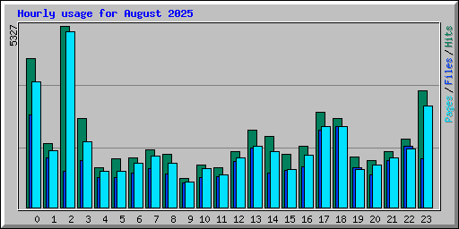 Hourly usage for August 2025