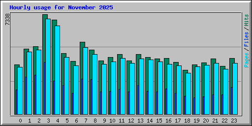 Hourly usage for November 2025